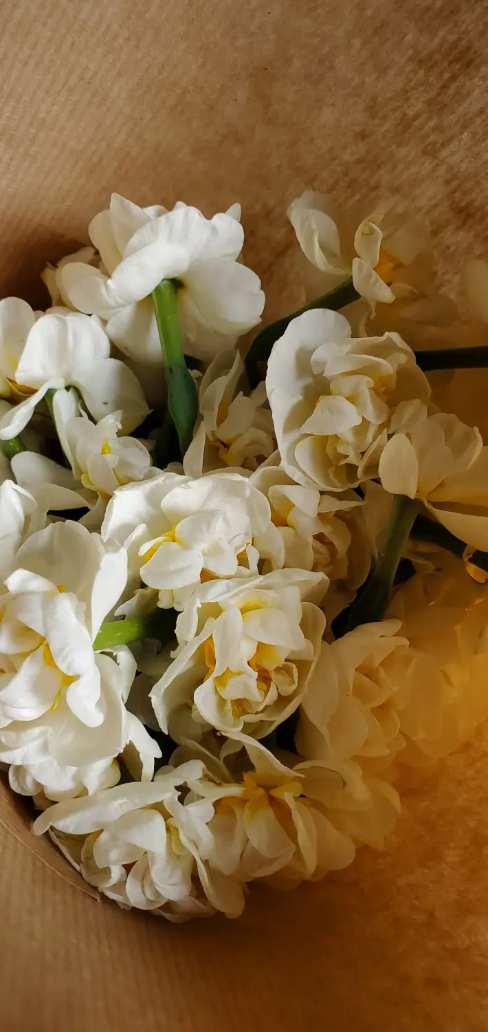 HOF DÖRKES - Blumen