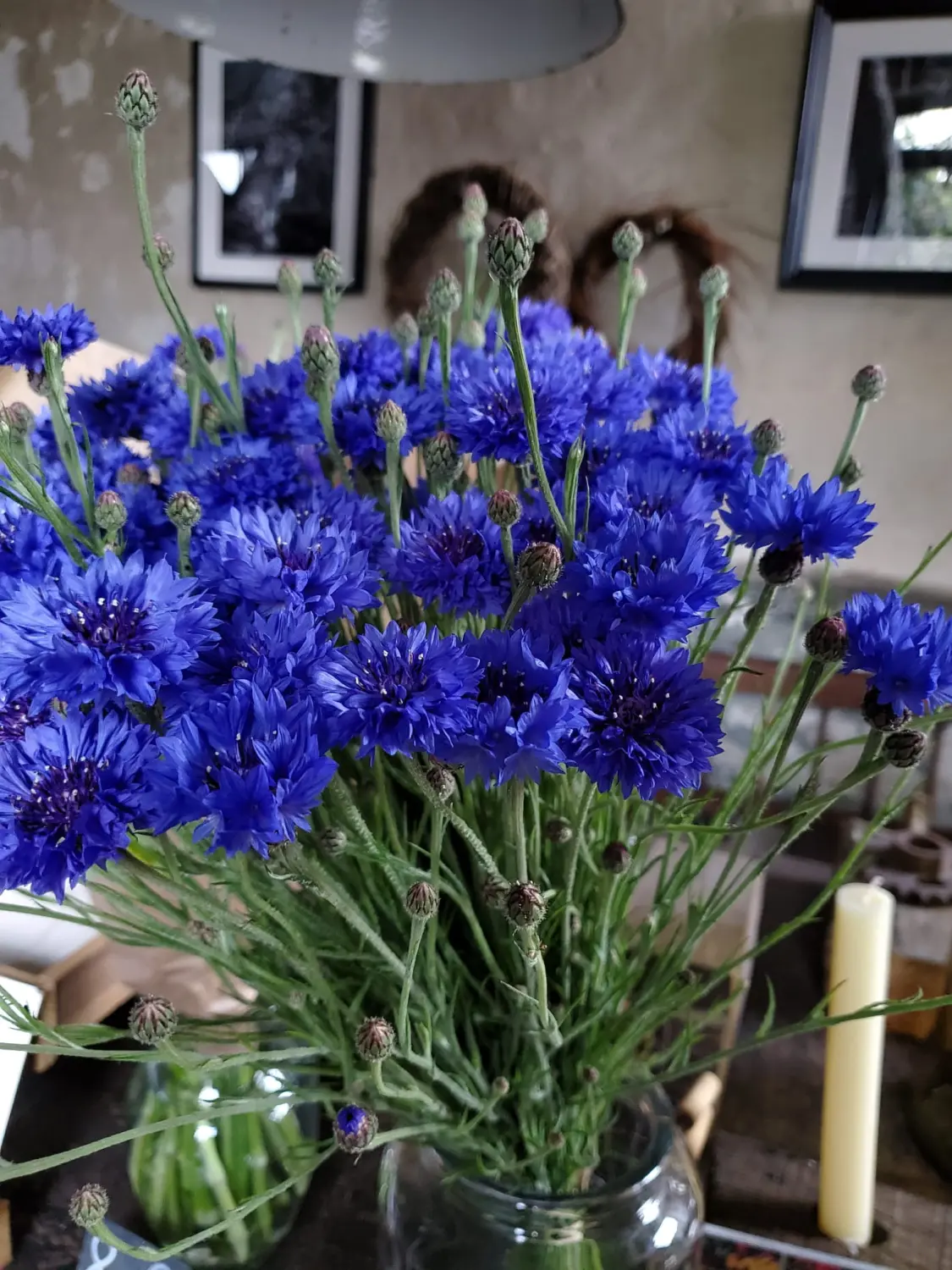 HOF DÖRKES - Blumen in der Vase