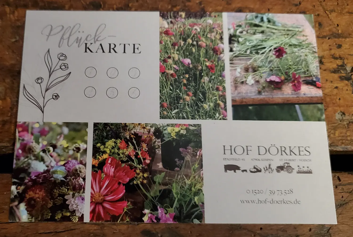 HOF DÖRKES - Pflückkarte Vorderseite
