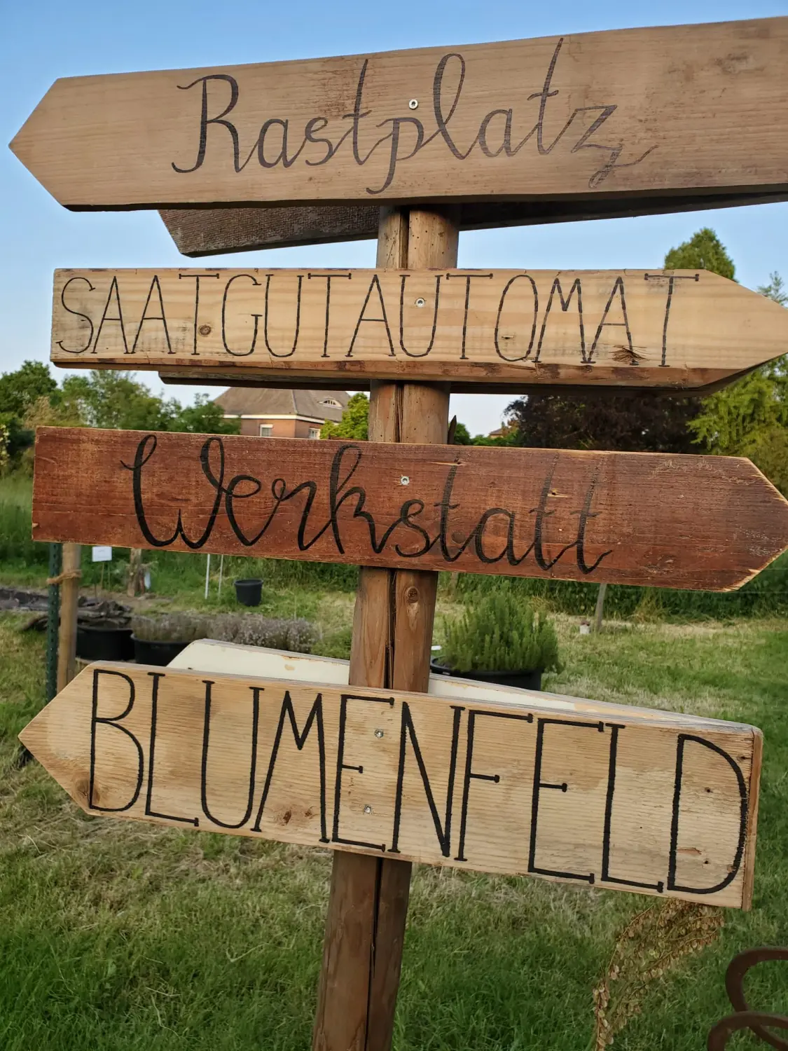 HOF DÖRKES - sigen für Blumenfeld