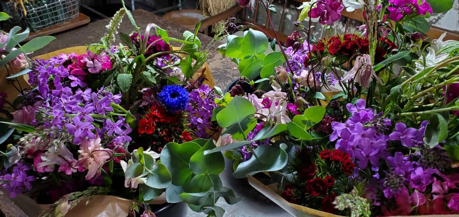 HOF DÖRKES - Blumen