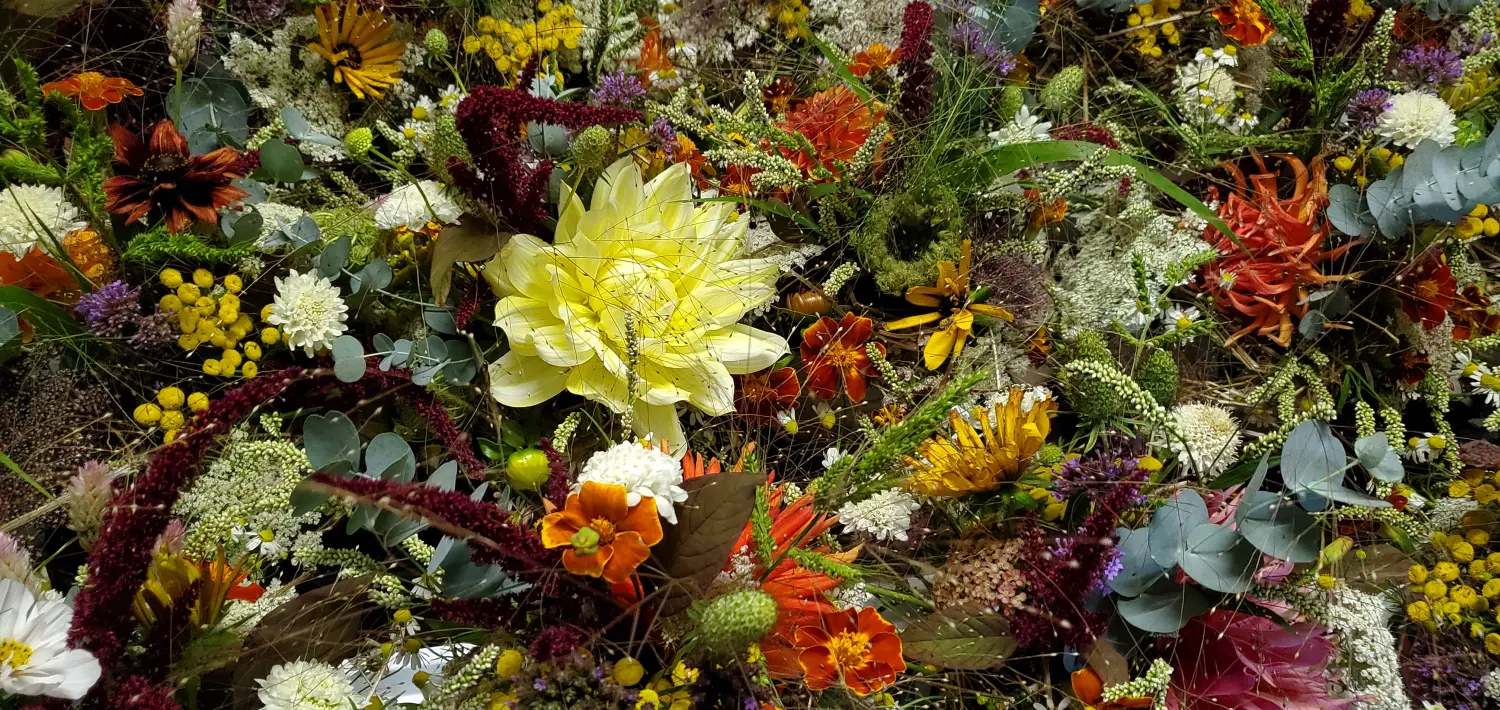 HOF DÖRKES - Blumen