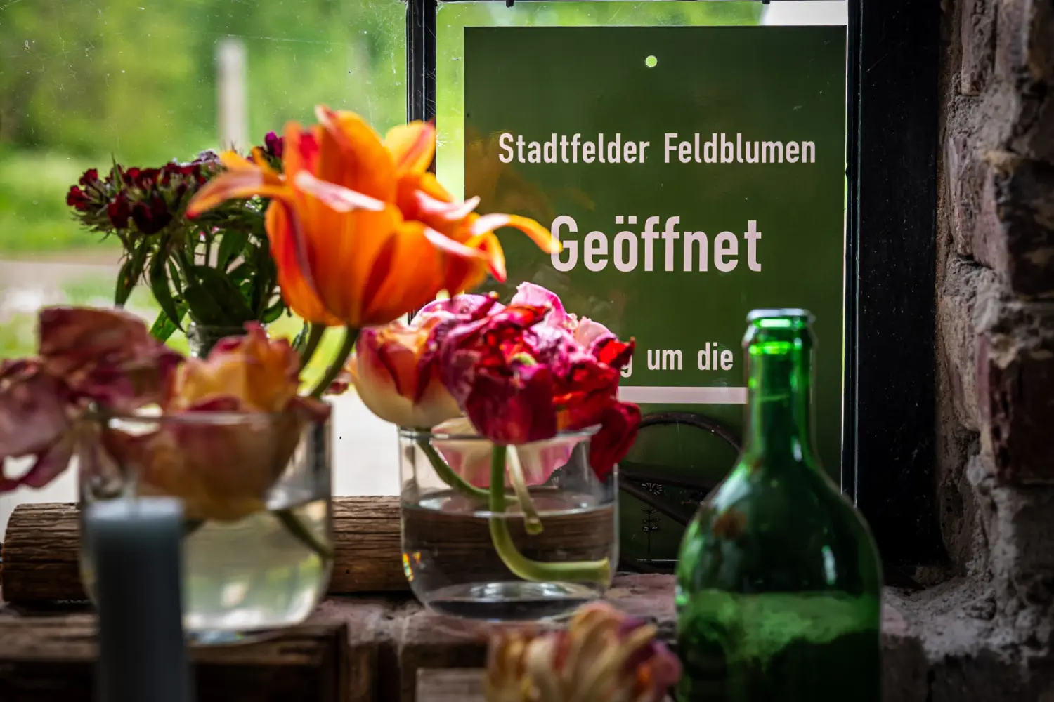 HOF DÖRKES - Blumen im Wasserglas