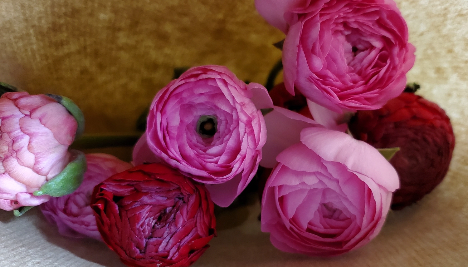 DIE BLUMENBINDERIN logo