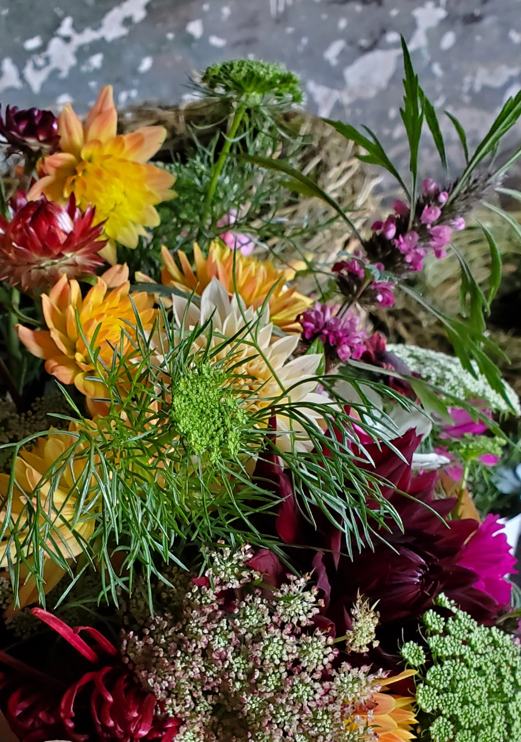 HOF DÖRKES - BELEUCHTETER STERN