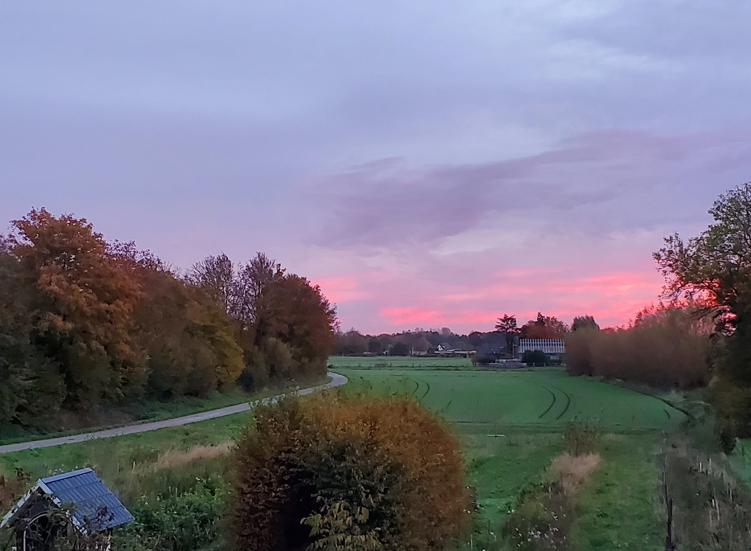 HOF DÖRKES - LÄNGLICHES ADVENTSGESTECK AUF HÖLZERNER UNTERLAGE